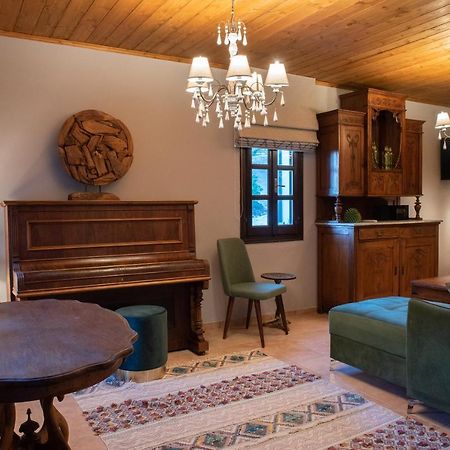 Dandy Villas Tsagkarada Extérieur photo